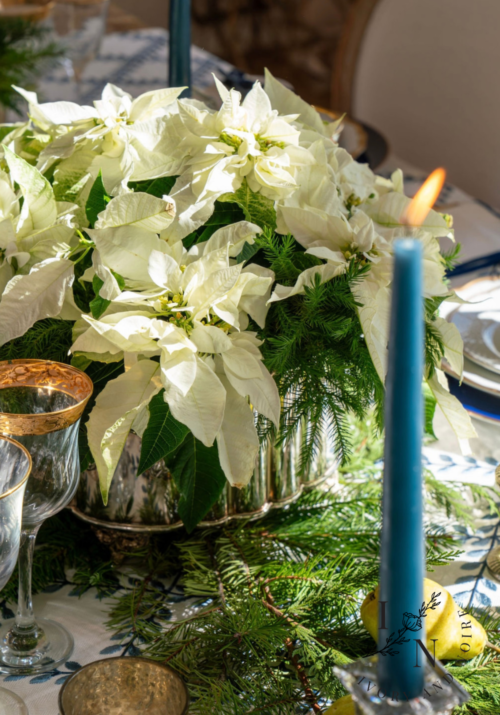 how to put together a live centerpiece