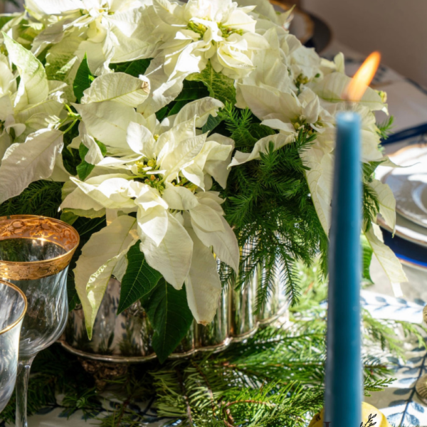 How to Create a Winter Living Floral Centerpiece for the Holidays