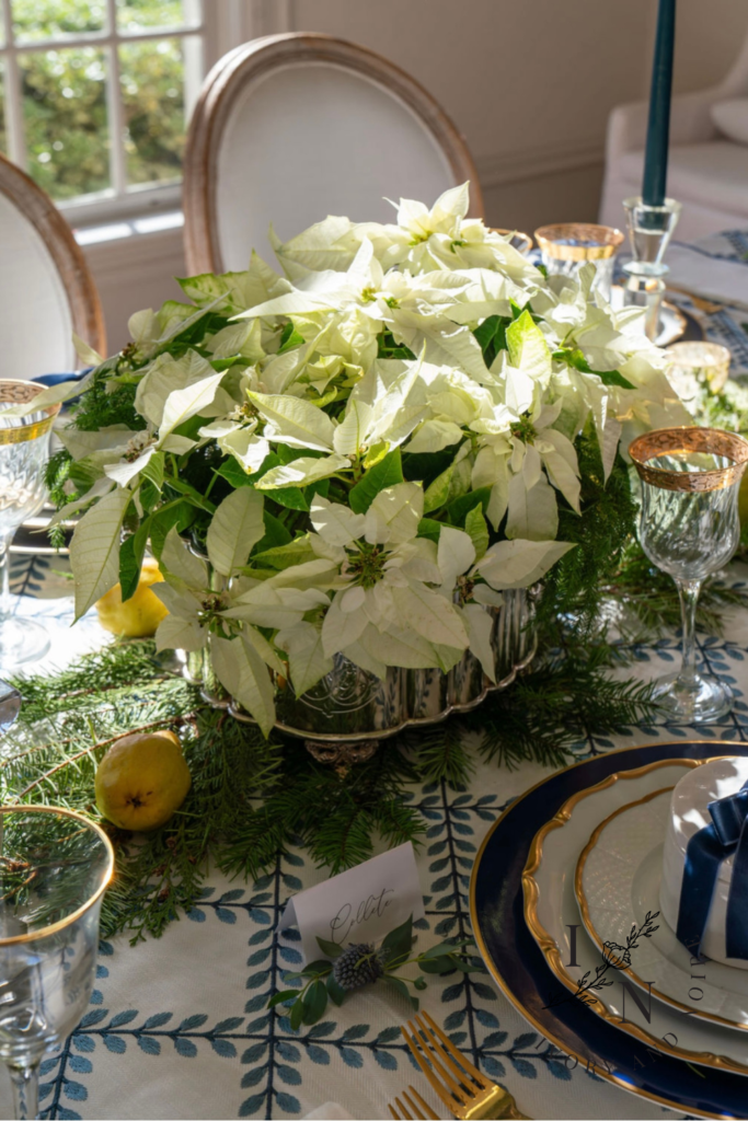 how to put together a live centerpiece