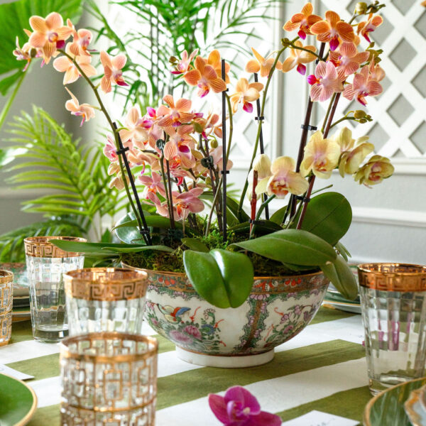 Creating an Elegant Orchid Centerpiece: A Simple Guide for Stunning Table Decor