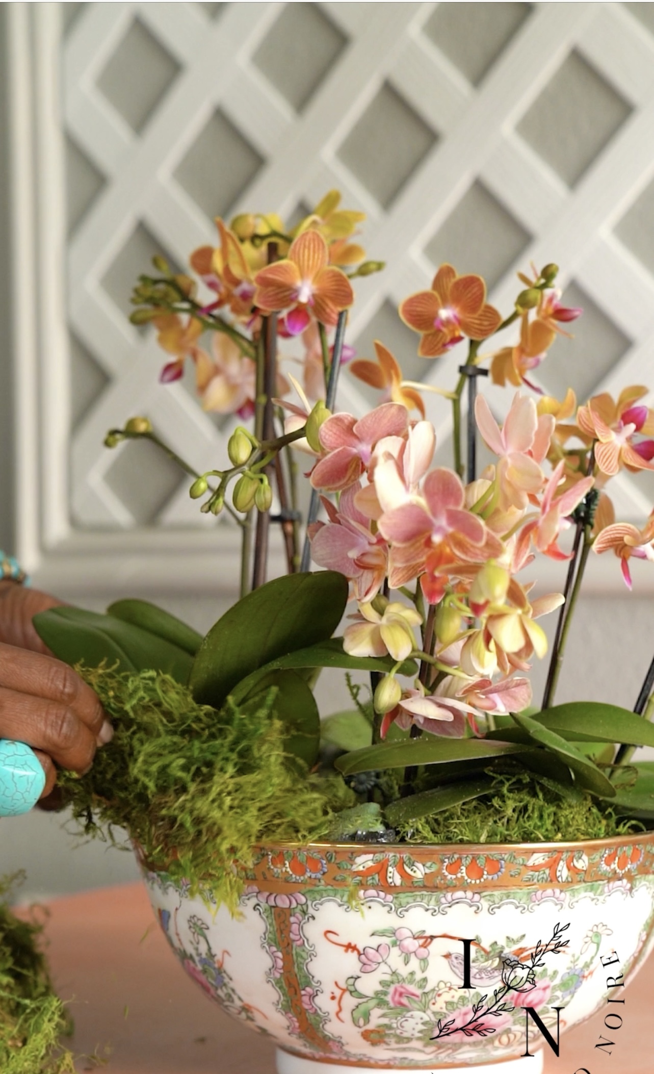 beautiful orchid arrangement